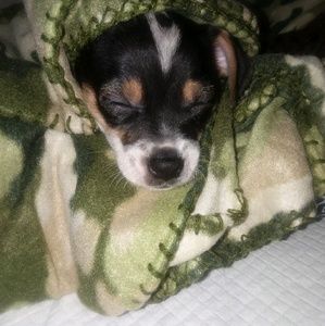 Meet your Posher, Kelly